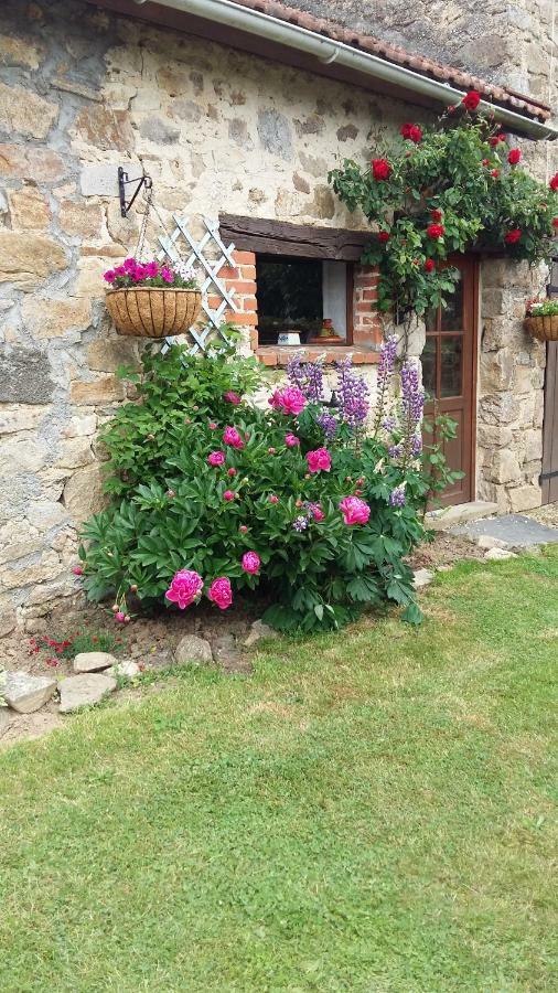 Le Cosy Villa Saint-Yrieix-la-Perche Exterior photo